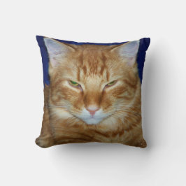 Almofada de Gato Irritado - Maine Coon Laranja