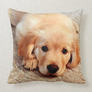 Almofada De Henry do mundo travesseiro do golden retriever