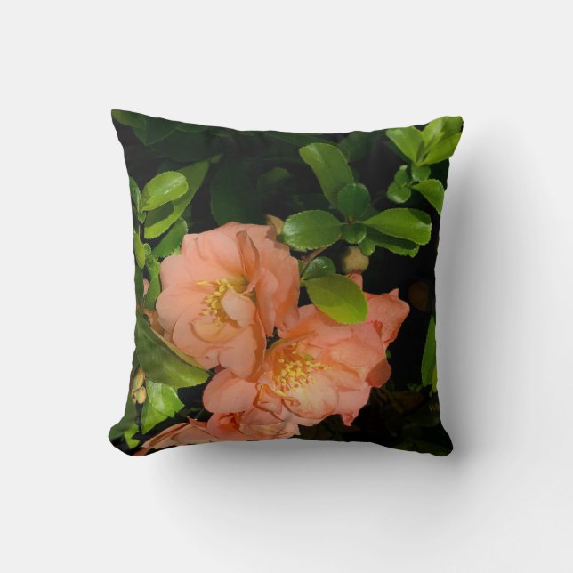 almofada de quince e rhoddy (Frente)