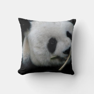 Almofada Decoração Aconchegante de Animais