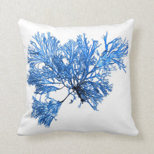 Almofada Decoração viva litoral azul da alga no.6