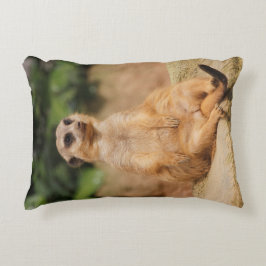 ALMOFADA DECORATIVA 2015_0110