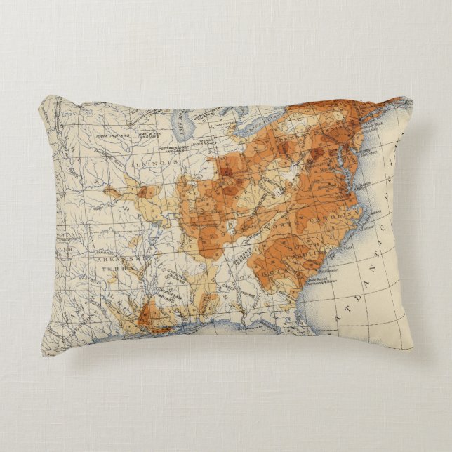 Almofada Decorativa 5 população 1820 (Frente)