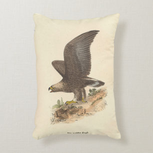 Almofada Decorativa A Águia Ouro (Aquila chrysaetos) NY Imagem do Páss