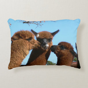 Almofada Decorativa Alpaca