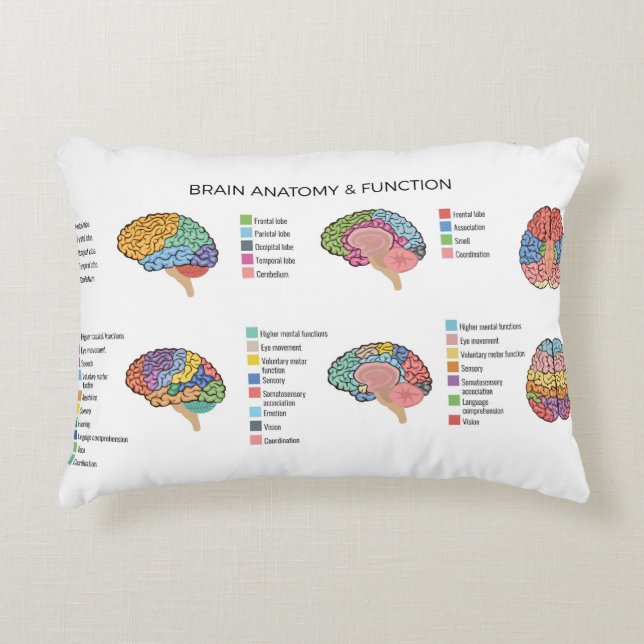 Almofada Decorativa Anatomia cerebral (Frente)