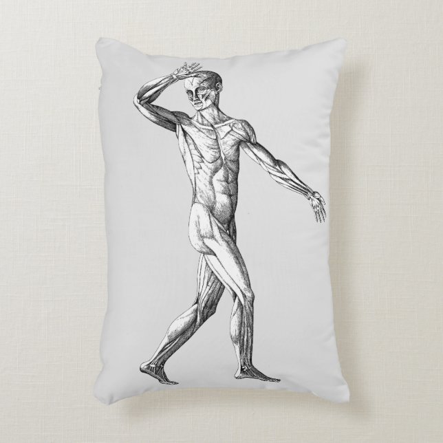 Almofada Decorativa Anatomia Humana Antiga, Músculos do Corpo Masculin (Frente(Vertical))