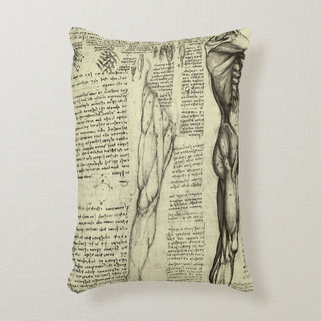 Almofada Decorativa Anatomia Humana de Leonardo da Vinci Músculos Masc (Frente(Vertical))