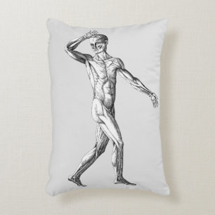 Almofada Decorativa Anatomia Humana Vintage, Músculos do Corpo Masculi