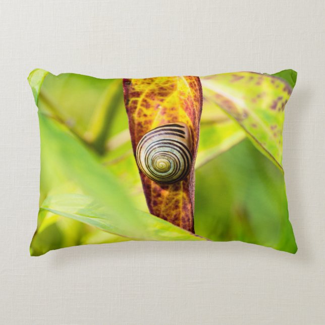 Almofada Decorativa apego calmo (Frente)