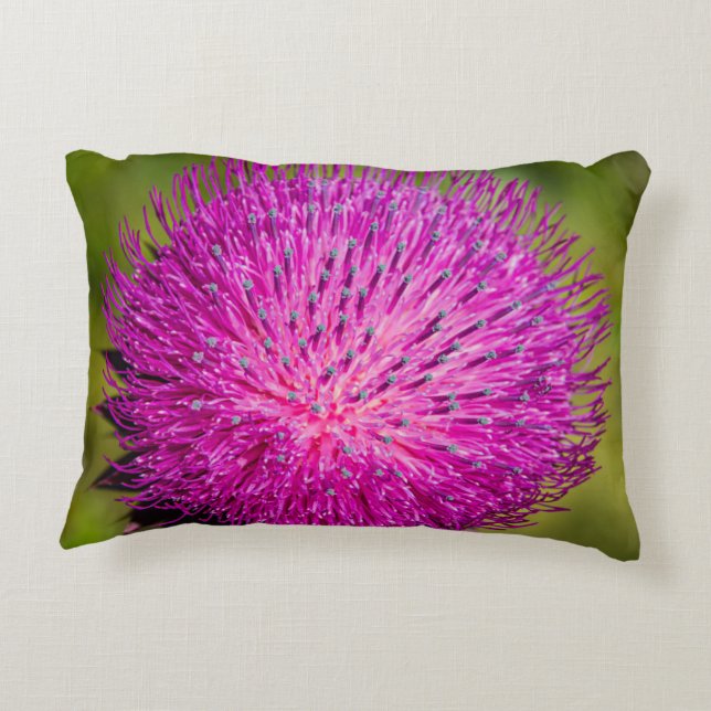 Almofada Decorativa Aperto do caroço do leite (Verso)