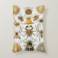 Aranhas ou Aracnídeos Vintage por Ernst Haeckel
