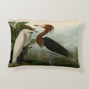 Almofada Decorativa Arte de Pássaro: Gravura do Garça Roxa de Audubon: