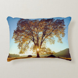 Almofada Decorativa Árvores de Carvalho Negro Floresta Nacional de C