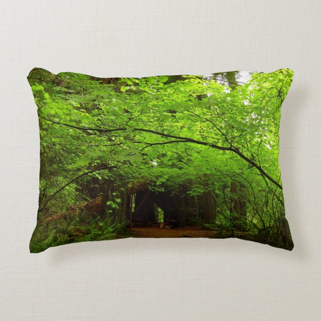 Almofada Decorativa Árvores de Maple na Floresta de Redwood (Frente)