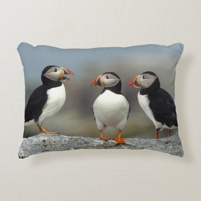 Almofada Decorativa Atlantic Puffin Group (Frente)