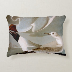 Almofada Decorativa Audubon: A gaivota de Bonaparte