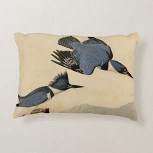 Almofada Decorativa Audubon Belfisher Kingfisher Wildlife Bird