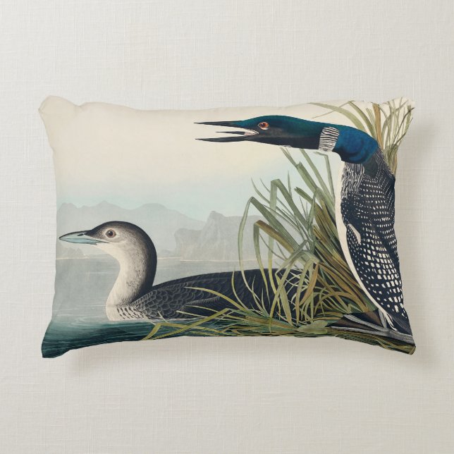 Almofada Decorativa Audubon Bird Loon Diver Classic (Frente)