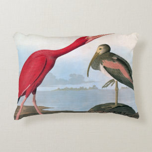 Almofada Decorativa Audubon: Escarlate dos íbis