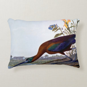 Almofada Decorativa Audubon: Íbis lustrosos