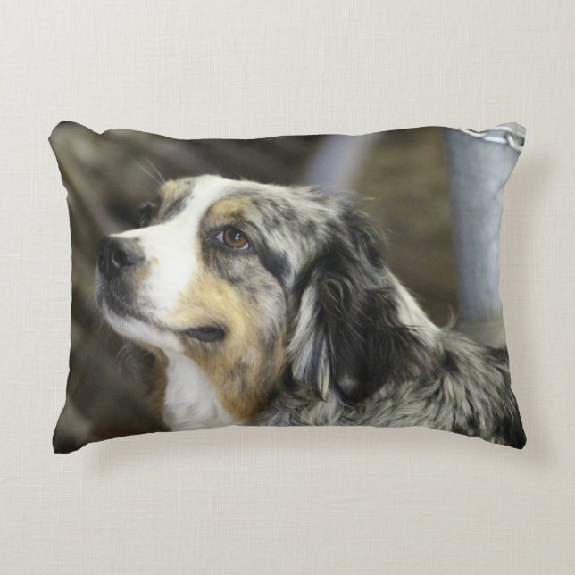 Almofada Decorativa Aussie (Frente)