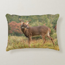 Almofada Decorativa Autumn Whitetail Buck