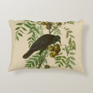 Almofada Decorativa Ave Negra Americana da Audubon