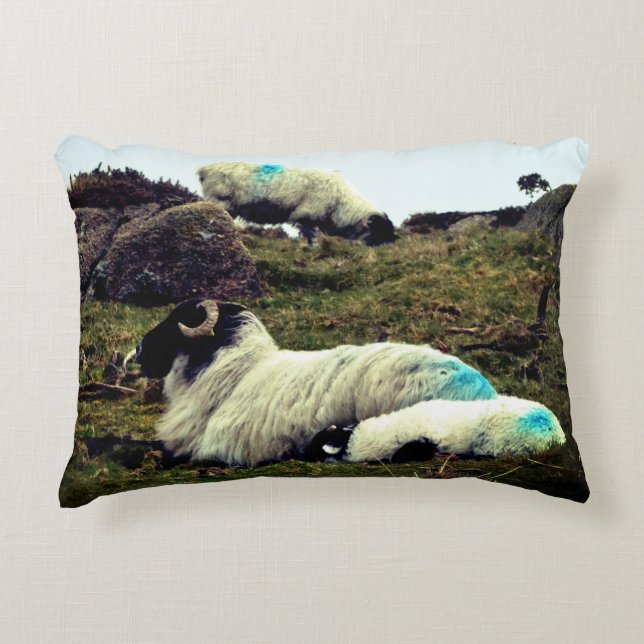 Almofada Decorativa Baby Lamb Dormindo perto da madeira de Wistman (Frente)