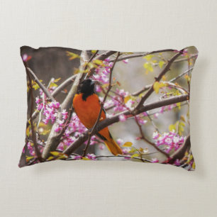 Almofada Decorativa Baltimore Oriole