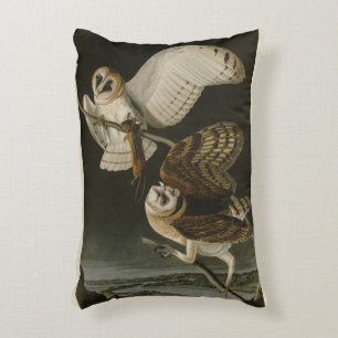 Almofada Decorativa Barn Owl (Tyto alba) Audubon's Birds of America