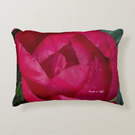 Almofada Decorativa Bela Pensão Vermelha