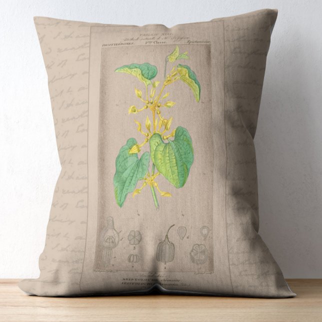 Almofada Decorativa Birthwort de Ilustração Botânica Francesa (Criador carregado)