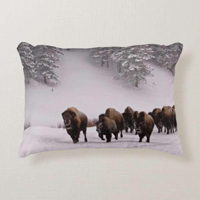Almofada Decorativa Bisonte no inverno (Frente)