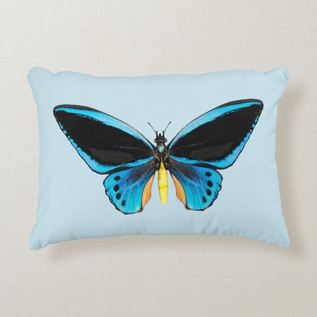 Almofada Decorativa Borboleta Birdwing (Frente)