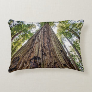 Almofada Decorativa Bosque de Roosevelt