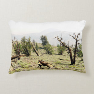 Almofada Decorativa Bristlecone Pine
