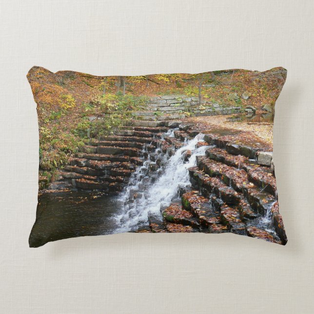 Almofada Decorativa Cachoeira no Laurel Hill State Park II (Frente)