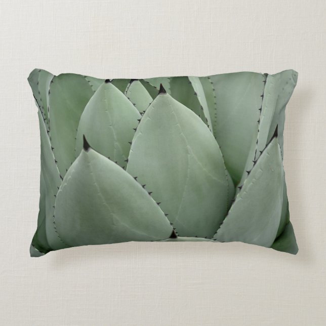 Almofada Decorativa Cacto verde (Frente)
