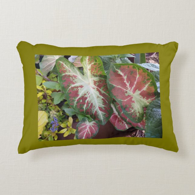 Almofada Decorativa Caladium Garden  (Frente)