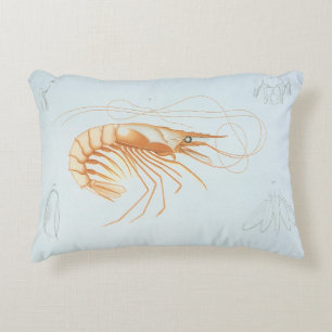 Almofada Decorativa Camarão, Vida Marinha Antiga Animais Oceânicos