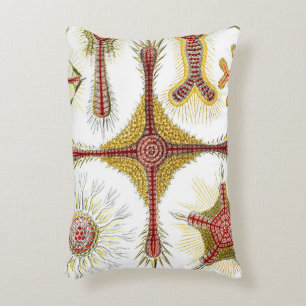Almofada Decorativa Camomila Selvagem por Ernst Haeckel, Natureza Vint