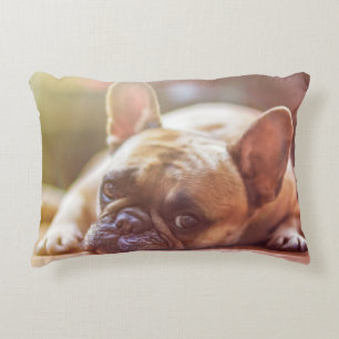 Almofada Decorativa cão