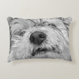 Almofada Decorativa Cão Coton de Tulear