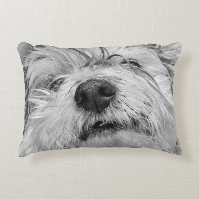 Almofada Decorativa Cão Coton de Tulear (Frente)