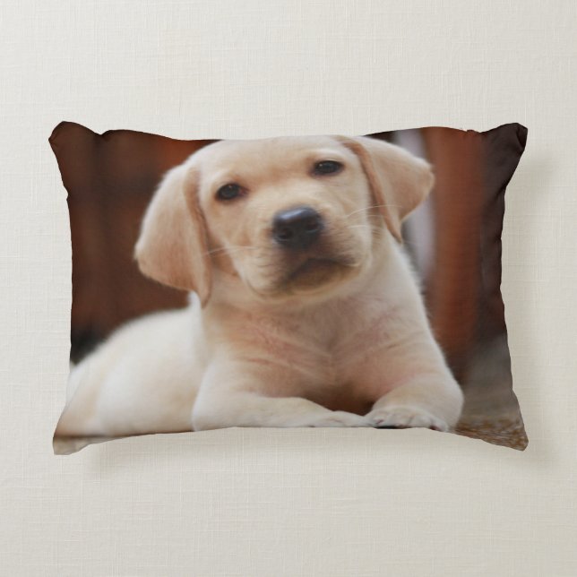 Almofada Decorativa Cão de filhote de cachorro amarelo de Labrador do (Frente)