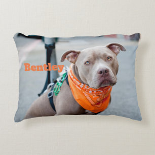 Almofada Decorativa Cão editável com Bandana