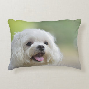 Almofada Decorativa Cão maltês branco