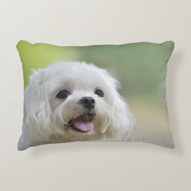 Almofada Decorativa Cão maltês branco (Frente)