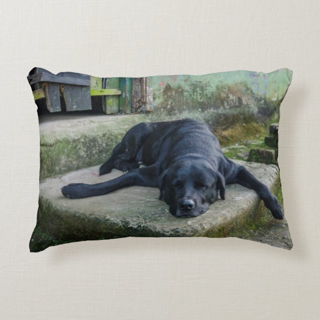 Almofada Decorativa Cão sonolento (Frente)